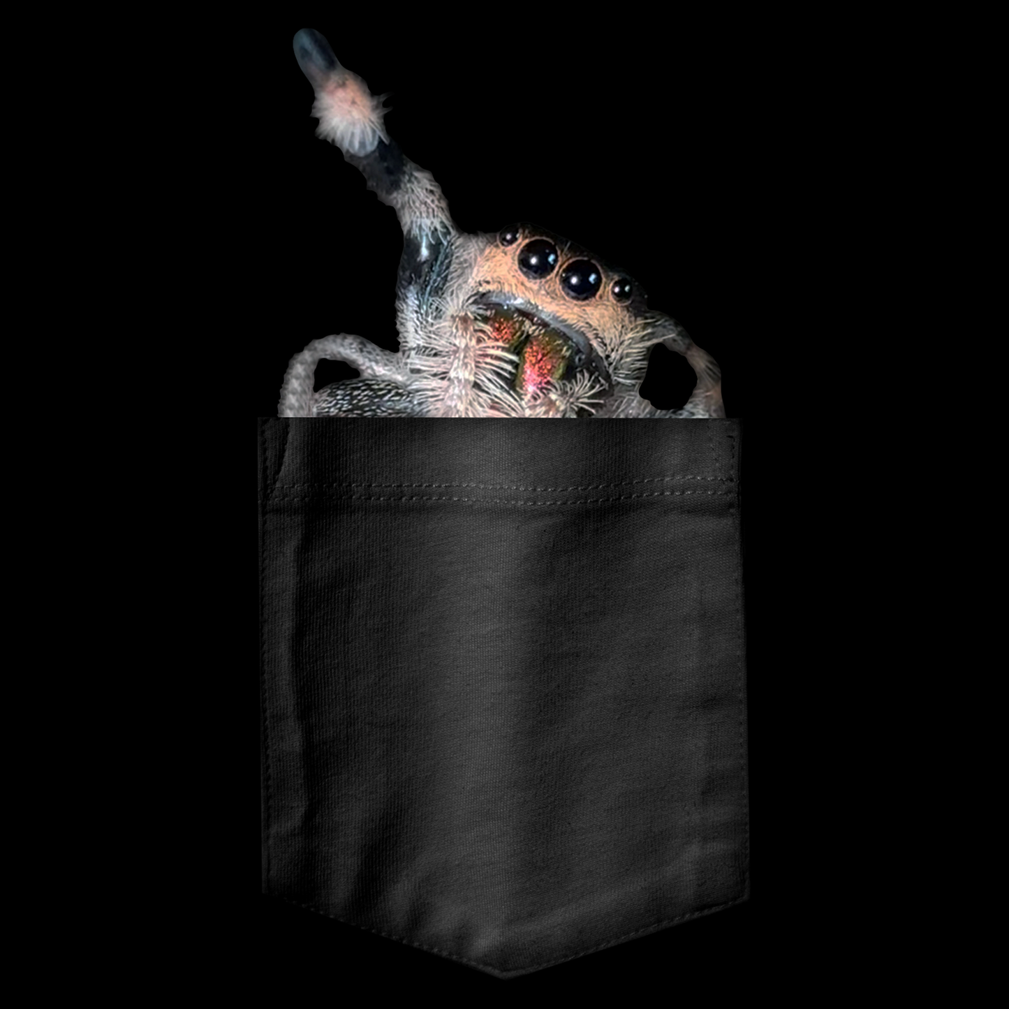 PEEKABOO PRINTED POCKET JUMPING SPIDER UNISEX OVERSIZED BOXY TEE